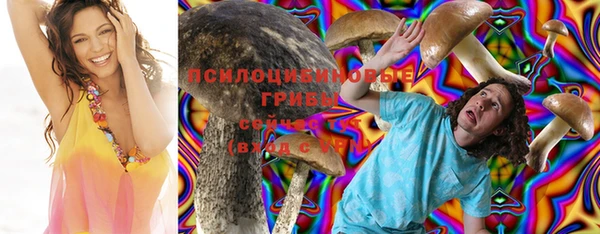 мдма Гусев