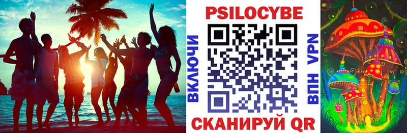 Псилоцибиновые грибы GOLDEN TEACHER  Купить закладки  Касимов 
